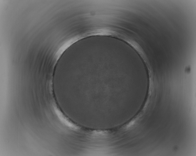 X0000112210850200908141456