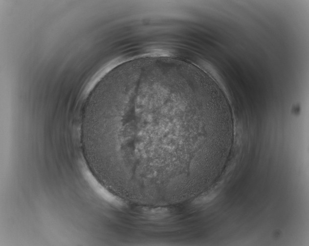 X0000112210851200908141456