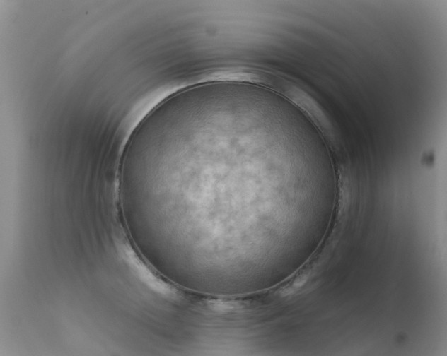 X0000112210852200908141456