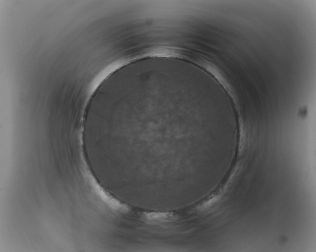 X0000112210853200908141456