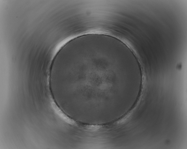 X0000112210854200908141456