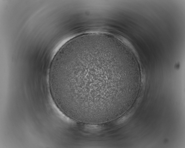 X0000112210855200908141456