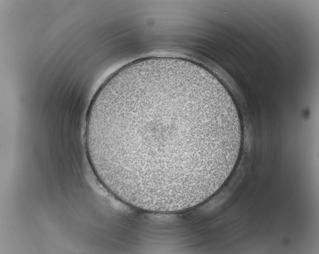 X0000112210856200908141456