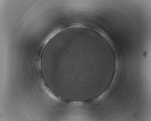 X0000112210858200908141456