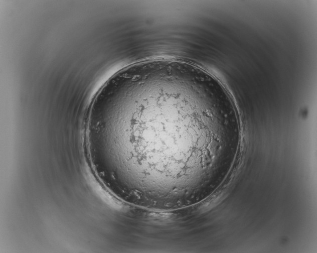 X0000112210859200908141456