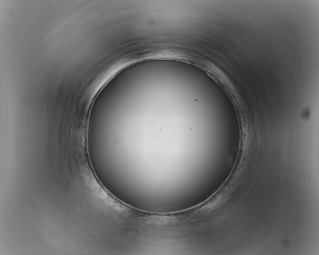 X0000112210860200908141456