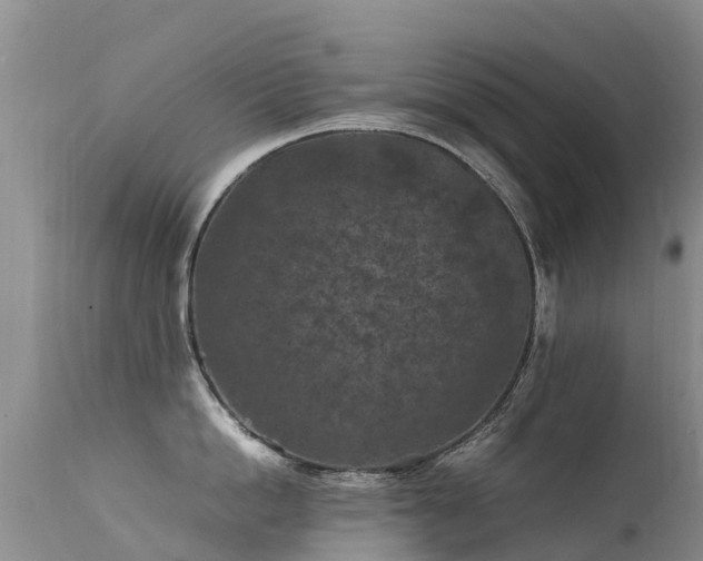 X0000112210862200908141456