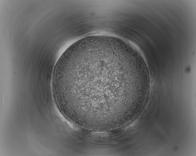 X0000112210863200908141456