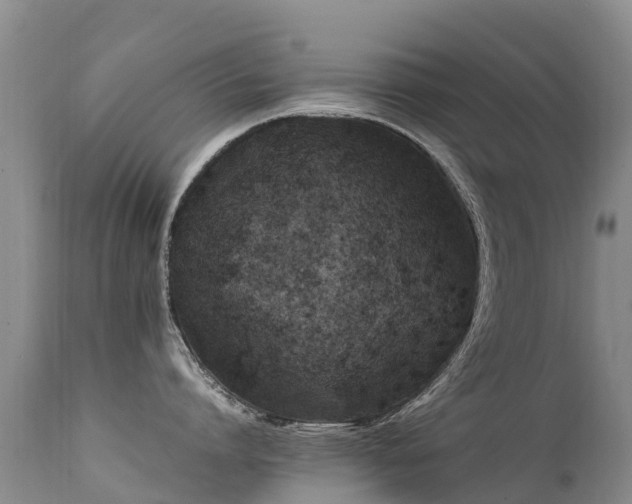 X0000112210864200908141456