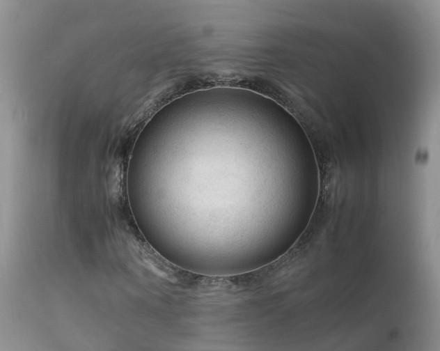 X0000112210866200908141455