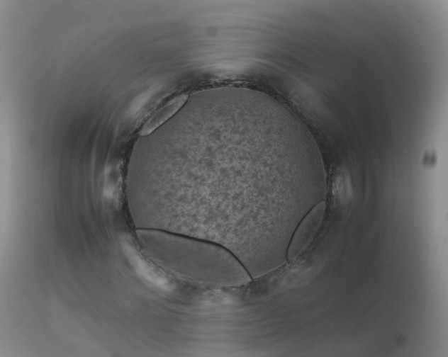 X0000112210868200908141455