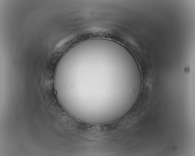 X0000112210869200908141455