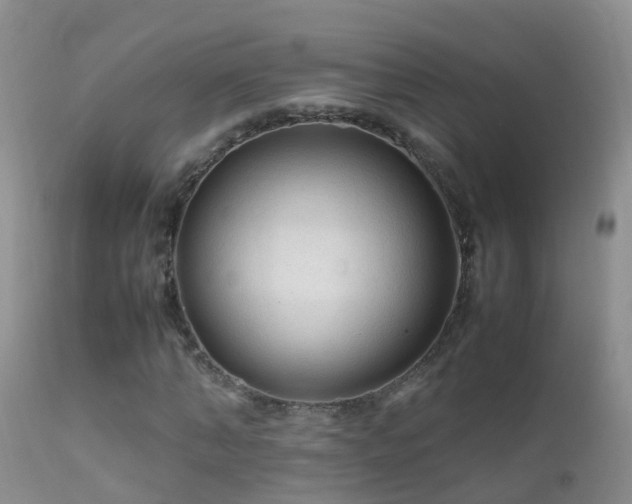 X0000112210870200908141455