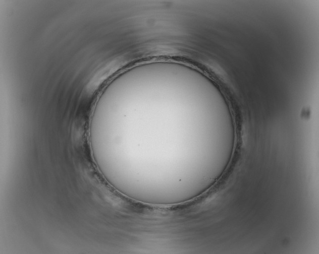 X0000112210873200908141455