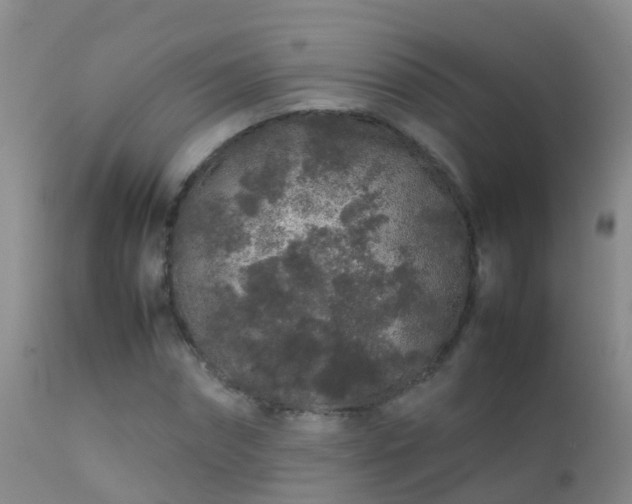 X0000112210874200908141455