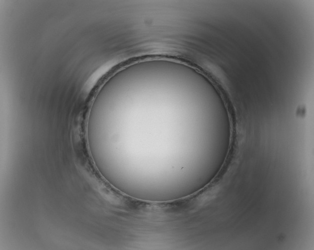 X0000112210875200908141455