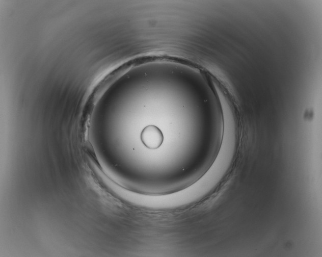 X0000112210876200908141455