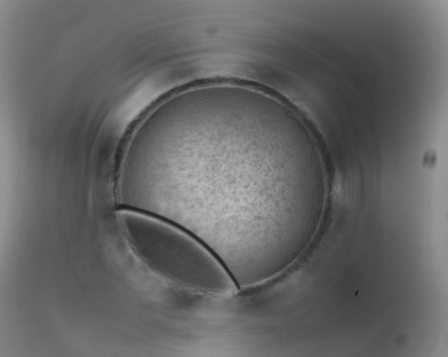 X0000112210877200908141455