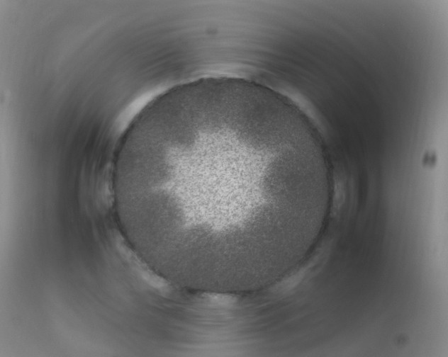 X0000112210878200908141455