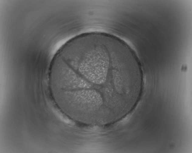 X0000112210879200908141455