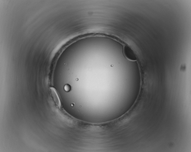 X0000112210880200908141455