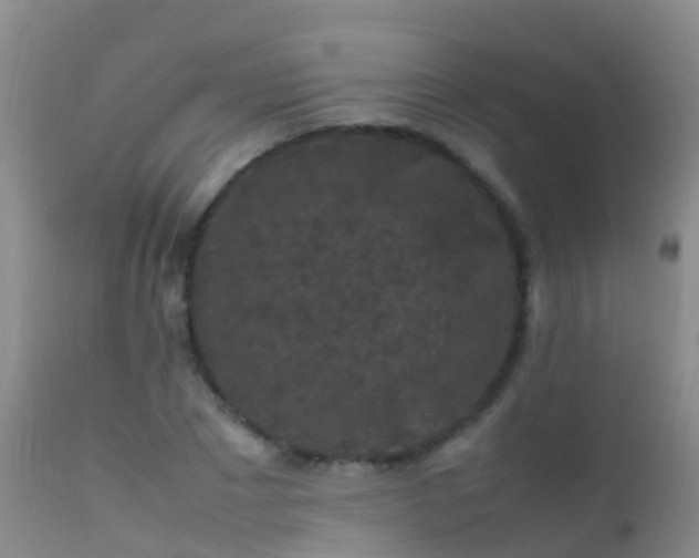 X0000112210881200908141455