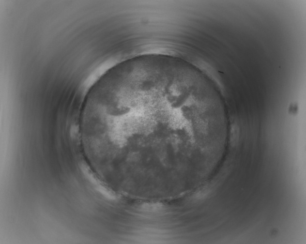 X0000112210882200908141455