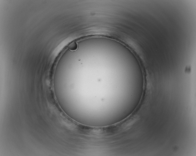 X0000112210883200908141455