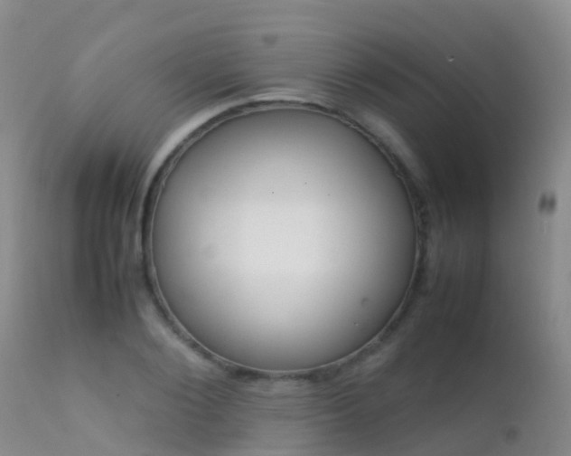 X0000112210884200908141455