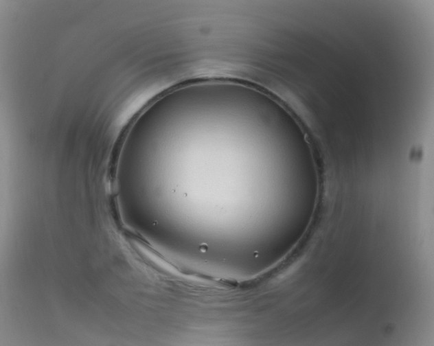 X0000112210885200908141455