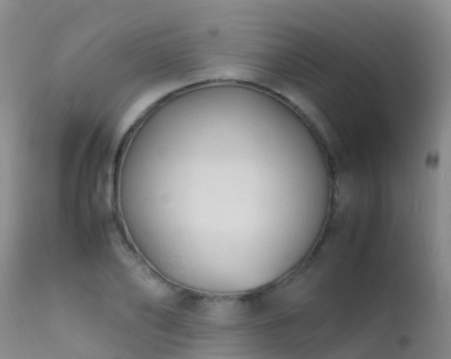 X0000112210886200908141455