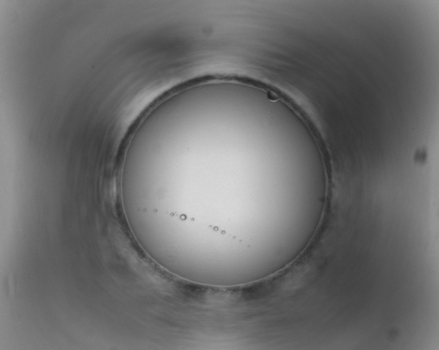 X0000112210887200908141455