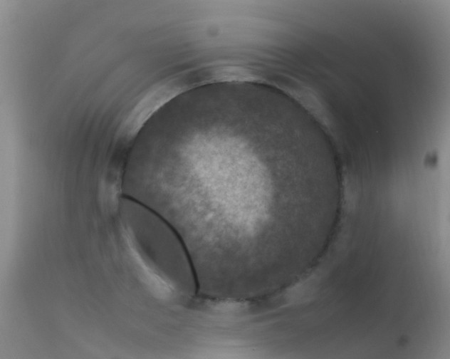 X0000112210889200908141455