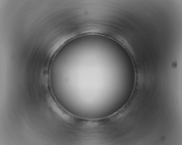 X0000112210890200908141455