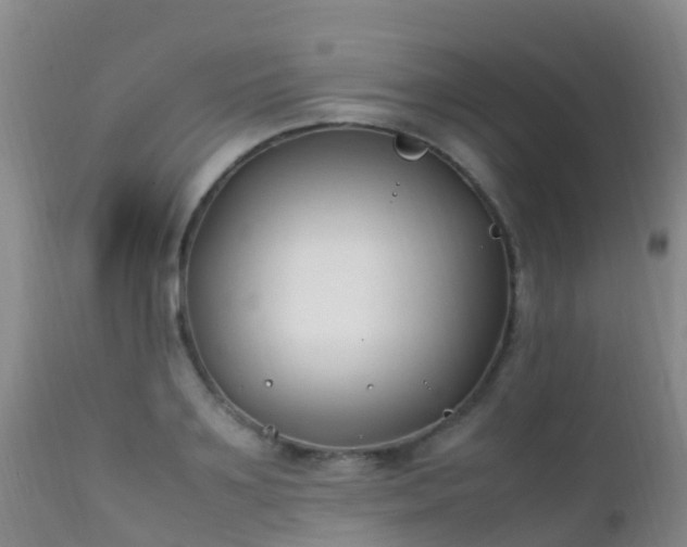 X0000112210891200908141455