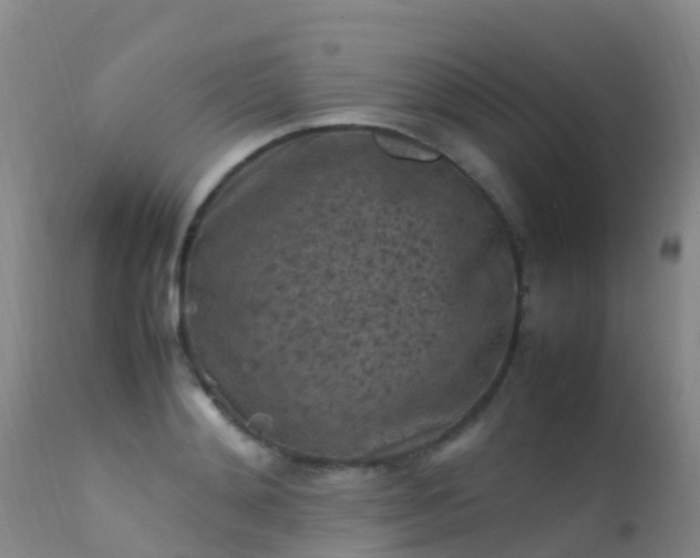 X0000112210892200908141455