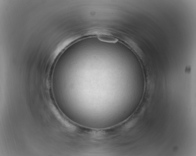 X0000112210893200908141455