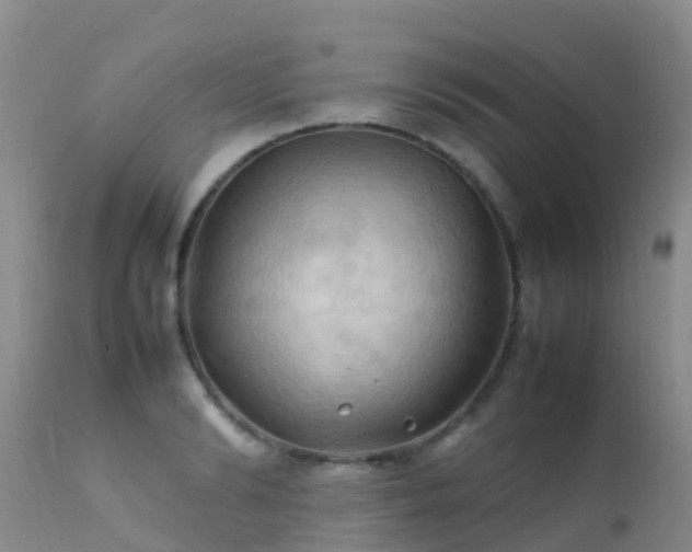 X0000112210894200908141455