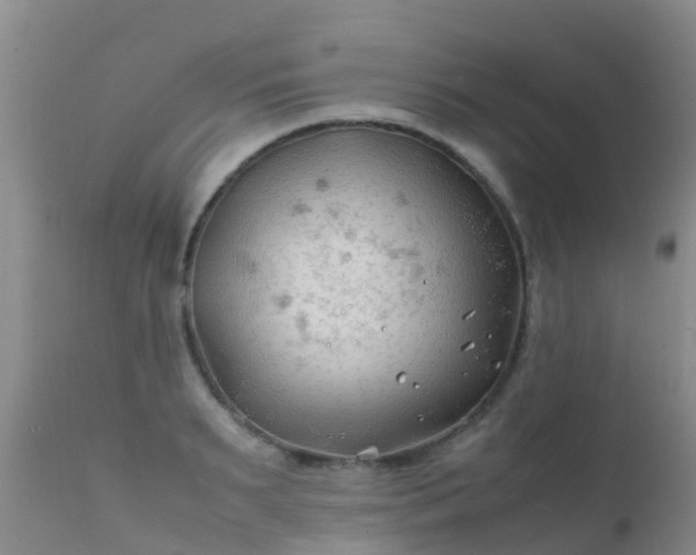 X0000112210895200908141455