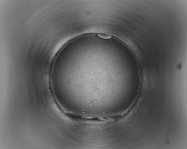 X0000112210896200908141455