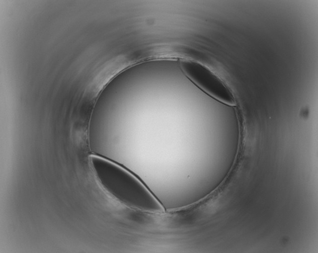 X0000112210897200908141455