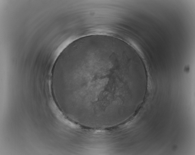 X0000112210899200908141455