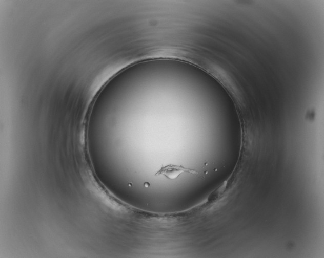 X0000112210900200908141455