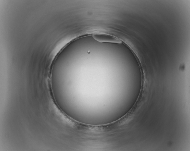 X0000112210901200908141455