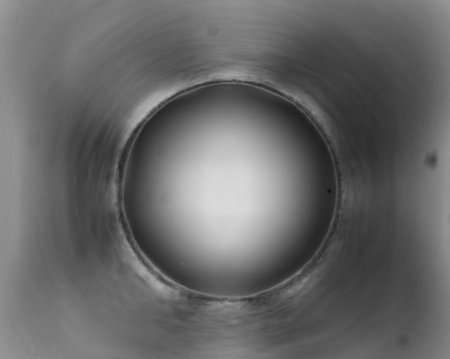 X0000112210902200908141455