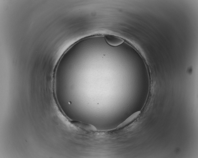 X0000112210903200908141455