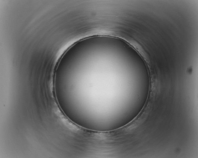 X0000112210904200908141455