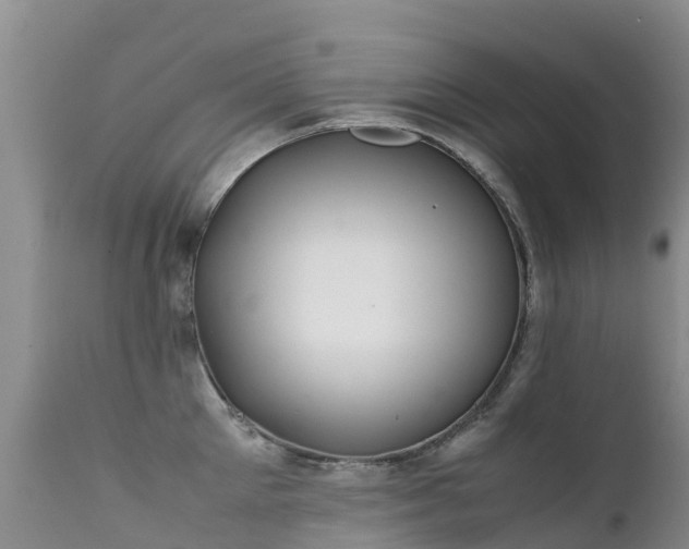 X0000112210905200908141455