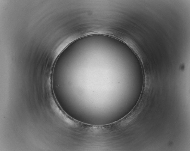 X0000112210906200908141455