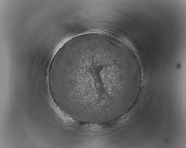 X0000112210907200908141455